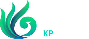 鯤鵬生物 – 創(chuàng)新多肽生物合成技術踐行者